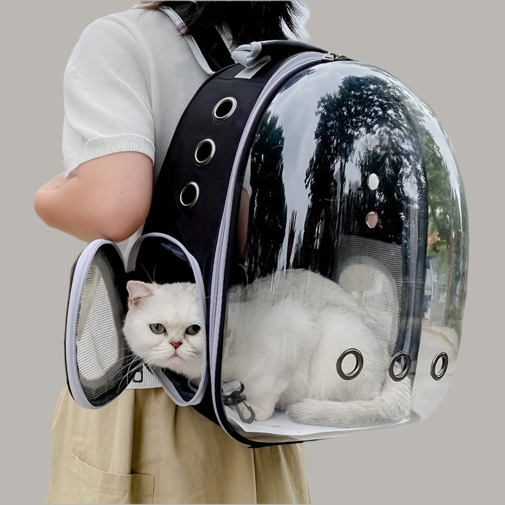 Sac à dos de transport pour chat